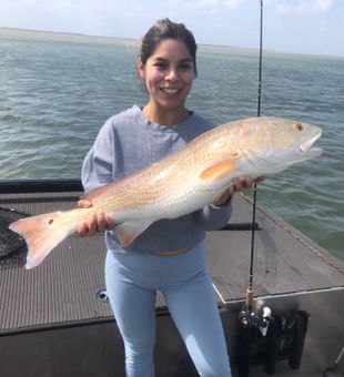 Fishing Guide in Rockport TX, Red Fish Delight