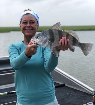 Black Drum caught in Rockport, Texas