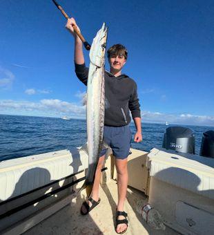 Massive Barracuda catch on a San Diego fishing charter.