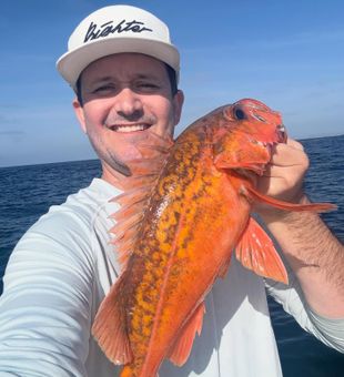 Vibrant Rockfish on a sunny San Diego fishing charter.