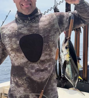 Powerful Yellowfin Tuna on a San Diego spearfishing trip.