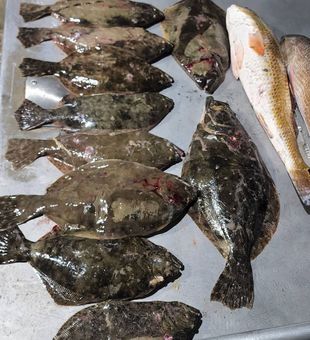 Catching flounder at sunset in Galveston