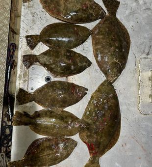 Galveston fishing charters at their best