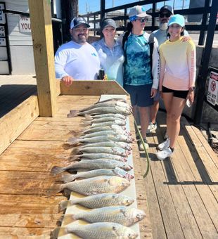 Atlantic Croaker Stack! - Port Isabel, TX.