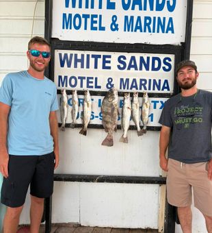 Black drum and speckled trout from South Padre Island!