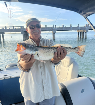 Nice speckled trout on light tackle drift fishing today!