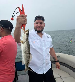 Beautiful speckled trout from South Padre Island waters!