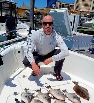 Variated haul - Atlantic, NJ.