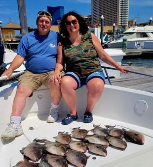 Trigger Fish Haul - Atlantic, NJ.