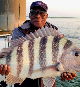 Big Atlantic City sheepshead catch! 🎣
