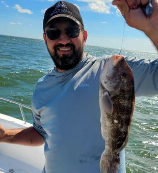 Solid Black Drum catch offshore