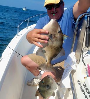 Atlantic City triggerfish double! 🎣