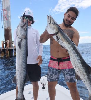 King Mackerel Fishing in Naples, Florida