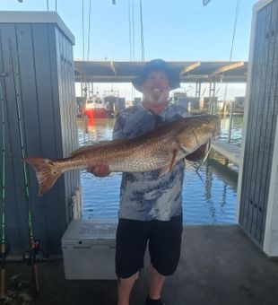 A successful day fishing in Galveston, TX with rods bent and smiles all around on the Texas Gulf Coast.