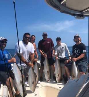  Offshore Fishing in Madeira Beach, FL