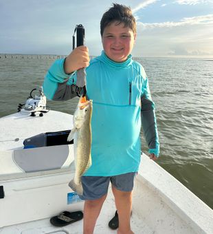 Beautiful speckled trout from Loyola Beach TX waters!