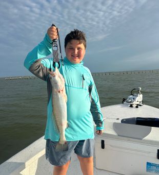Nice speckled trout from Loyola Beach TX waters!