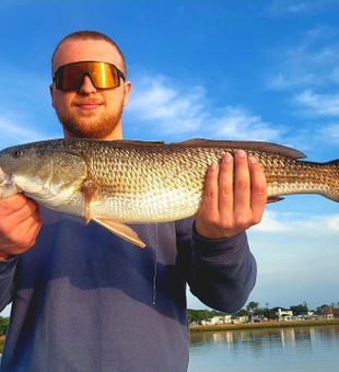 Redfish catch by experienced Angler