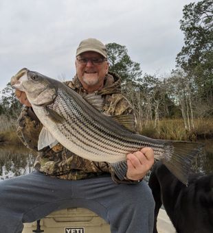 Catch of the day!