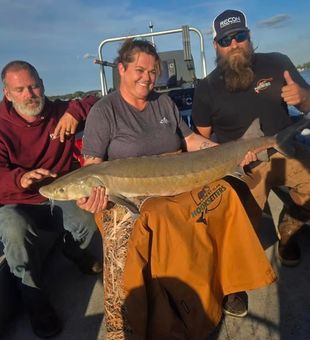 Lake St. Clair sturgeon fishing charter for trophy-sized river giants.