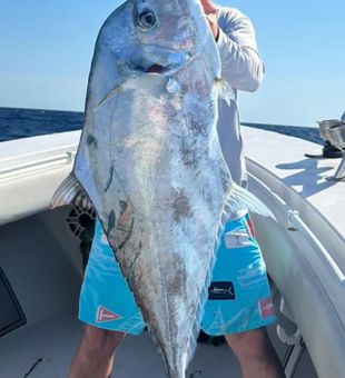 Giant African pompano Tampa Bay fishing charter
