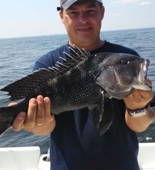 Black Sea Bass Catch in New York Fishing! Book now