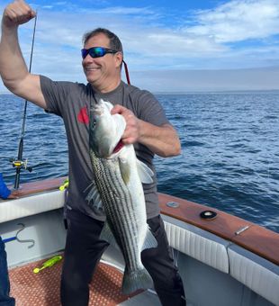 New York Fishing Trips Striped Bass Catch!