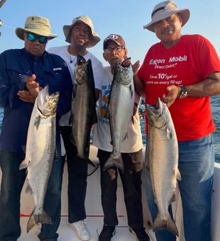 You just have to join and reel them in!