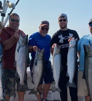 Stacked Chinook