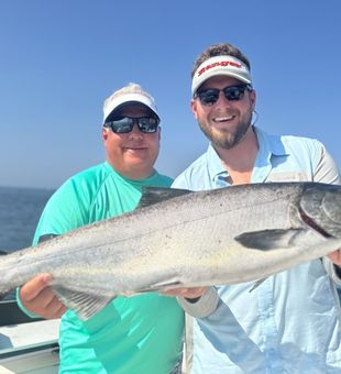 Massive Chinook