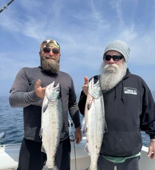 Solid Chinook