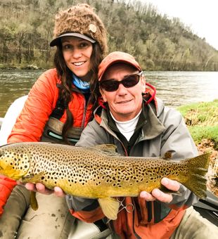 Brown Trout in White River