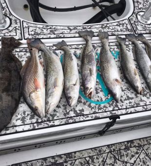 Best bites of the day