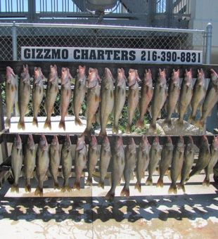 Lake Erie Fishing Charters