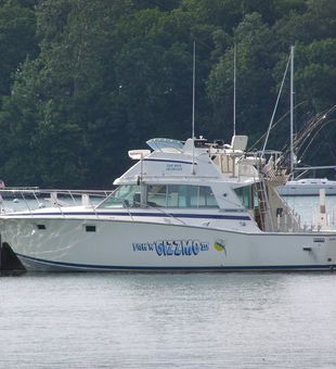 Gizzmo is waiting for you in Lake Erie 