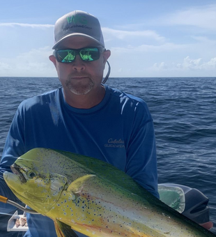 Sun, sea, fish!