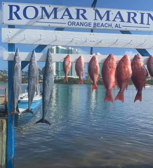 Fisherman's Bounty Bliss