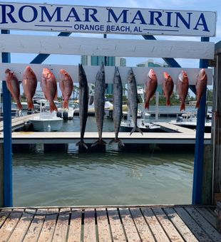 Orange Beach AL, Catch of the Day