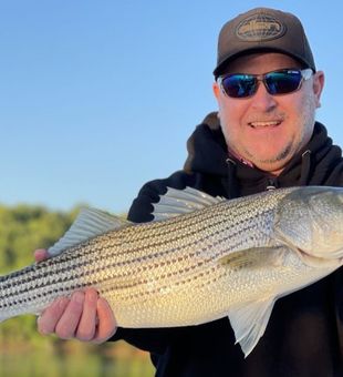 Striped Bass: Lanier's Fishing Gem