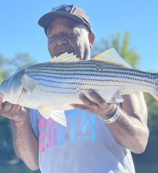 Striper Season: Lanier's Best Catch