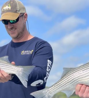 Striped Bass Bounty In Lake Lanier, GA