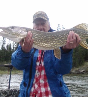 Strong Northern Pike catch on Mirond Lake!