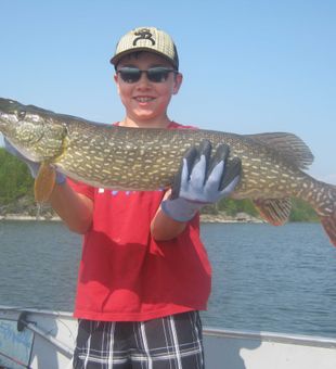 Youthful Northern Pike catch on Mirond Lake!