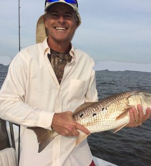 Redfish Fishing In Tampa, Florida