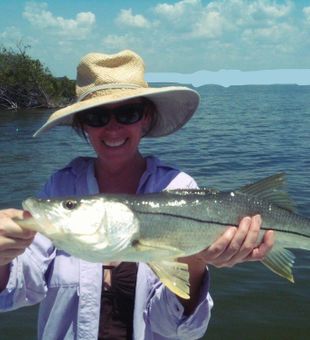 Snook Fishing In Tampa, Florida