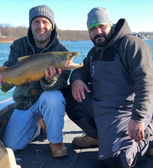 Niagara River Brown Trout