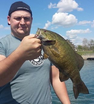 Niagara River Smallmouth Bass