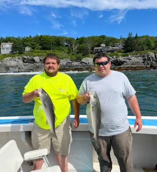 Bass Fishing in Boothbay Harbor, ME