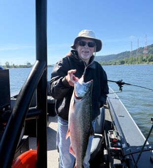 Beautiful Coho salmon from Milwaukie waters!