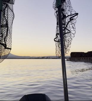 Nets ready for action on the Columbia River.